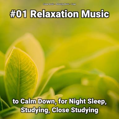 Relaxing Music to Fall Asleep To