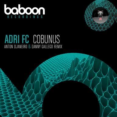 Cobunus - Danny Gallego Remix