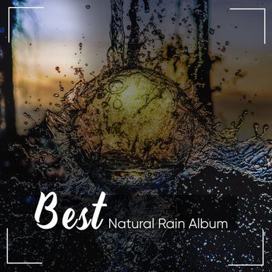 Loopable Forest Rain