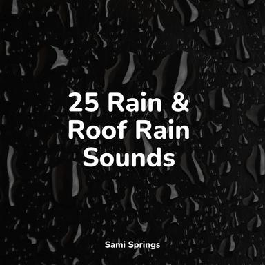 Windy Rainstorm