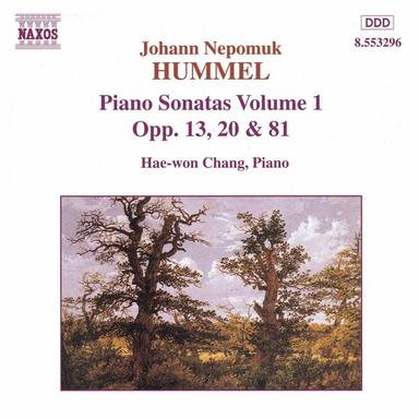 Piano Sonata in F Minor, Op. 20: I. Allegro moderato - Adagio - Allegro agitato