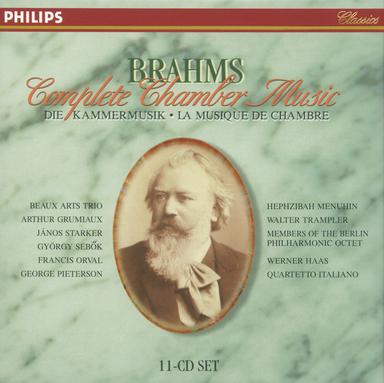 Sonata for Clarinet and Piano No. 2 in E flat, Op. 120 No. 2: 3. Andante con moto