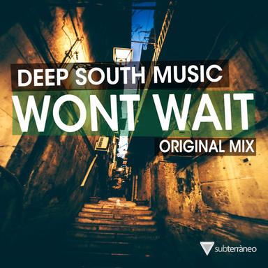 Won't Wait - Original Mix