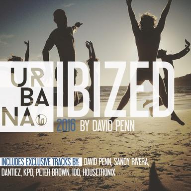 Can't Let You Go - David Penn Dub