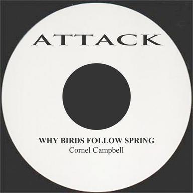 Why Birds Follow Spring