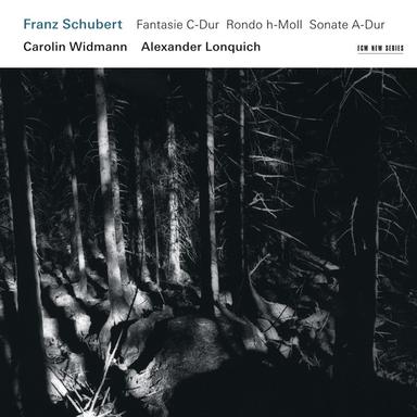 Fantasia In C, For Violin And Piano, D.934: Tempo primo