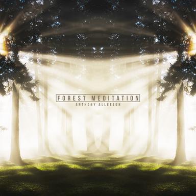 Forest Meditation