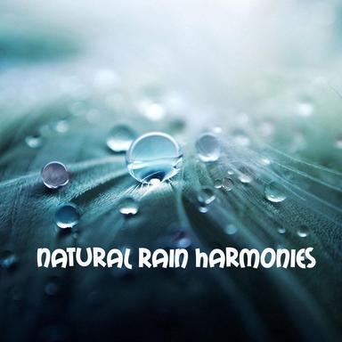 White Noise Rain