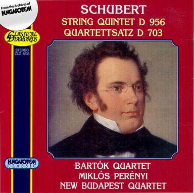 String Quintet in C Major, Op. 163, D. 956: I. Allegro ma non troppo
