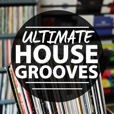 DG