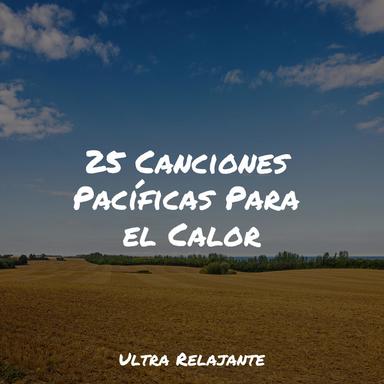 Lecciones Del Cosmos