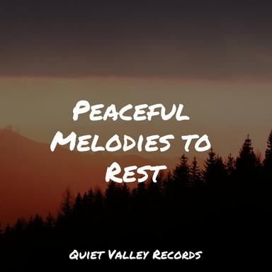 Peaceful Waves
