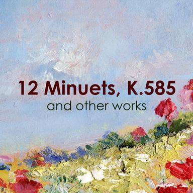 10 National Airs with Variations, Op. 107 (Perf. on Violin): No. 1, I bin a Tiroler Bua