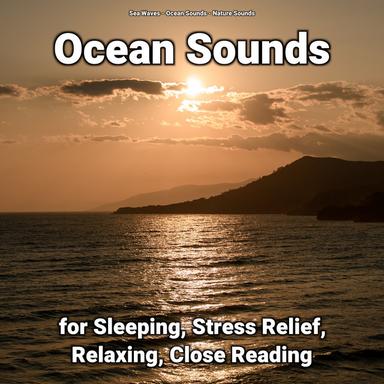 Sea Waves to Relax Your Brain