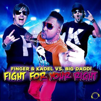 Fight for Your Right - Single Edit