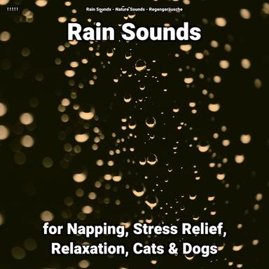 Soothing Atmosphere
