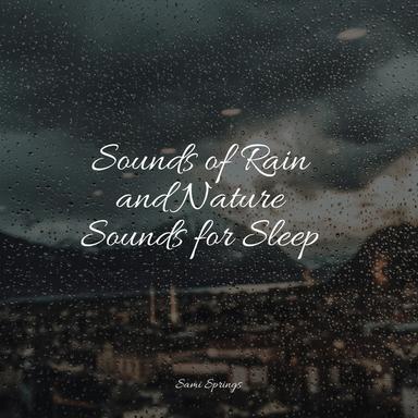 White Noise Splashing Rain Drops