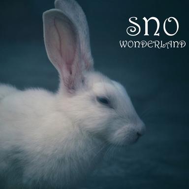 SÖ