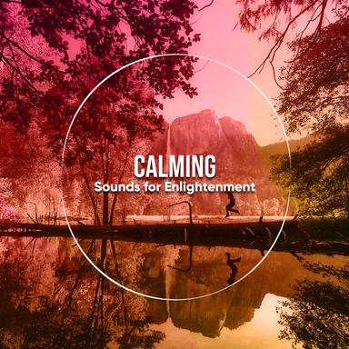 Tranquil Binaural Sounds