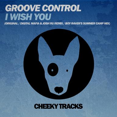 I Wish You... - Boy Raver's Summer Camp Remix