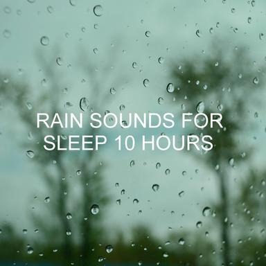 Rain Sounds 3 Hours