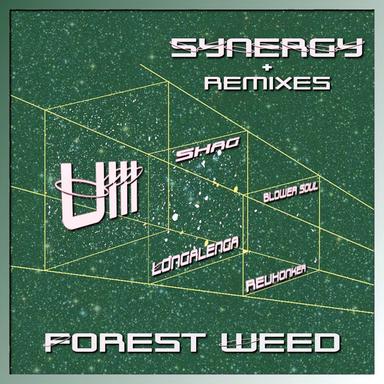 Synergy - Revhonker Remix
