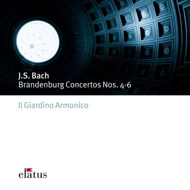 Bach, JS: Brandenburg Concerto No. 6 in B-Flat Major, BWV 1051: III. Allegro