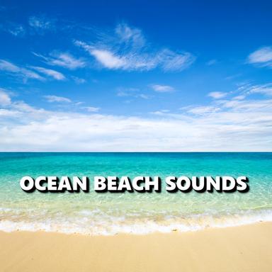 Eloquent Florida Ocean Waves