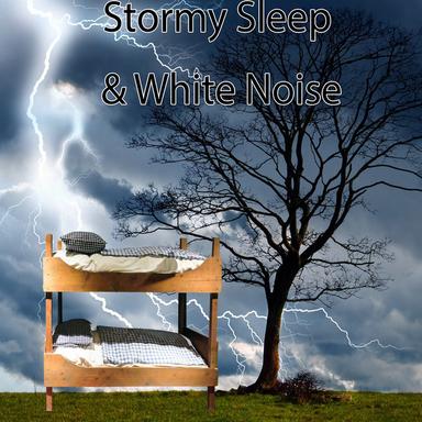 White Noise Flood