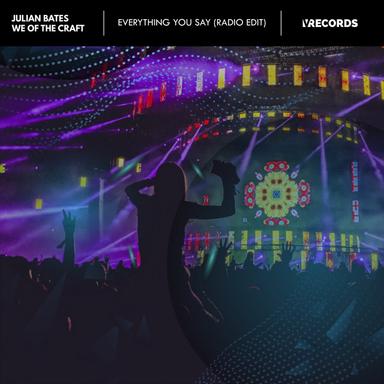 Everything You Say - Radio Edit