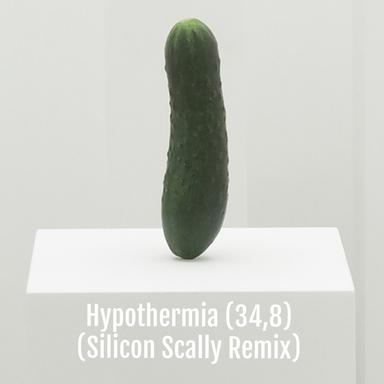 SS