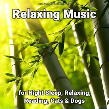 Baby Sleep Music