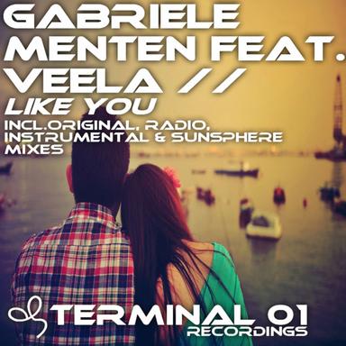 Like You - Instrumental Mix