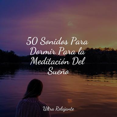 Alas en Vuelo
