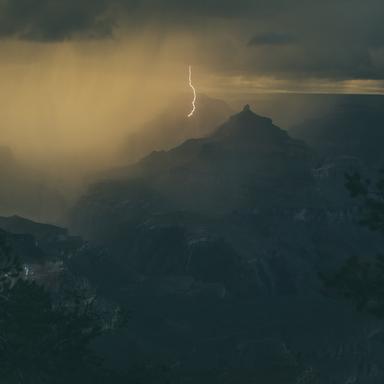 Hypnotic Heavy Forest Rain Rising and Falling