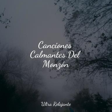 Belleza Conmovedora