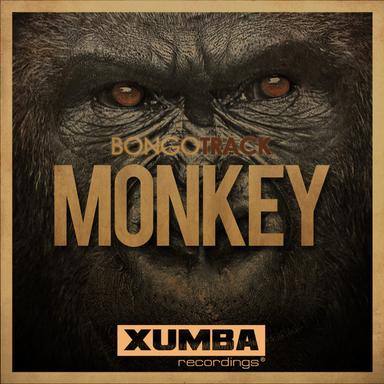 Monkey - In The Jungle Mix