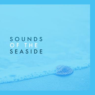 Sand and Sea