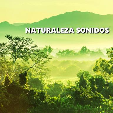 Sonidos Hermosos de la Naturaleza