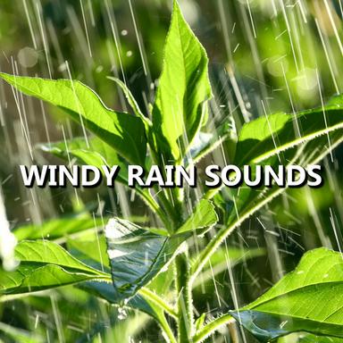 Rain Sounds