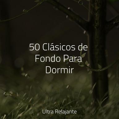 Mundo De Sueños