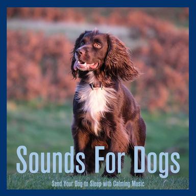 Easy Listening