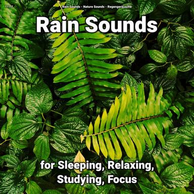 Marvelous Ambient Soundscapes