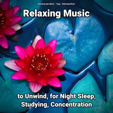 Stress Relaxation