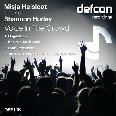 Voice In The Crowd - Luke Terry Remix