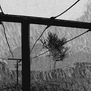 ES