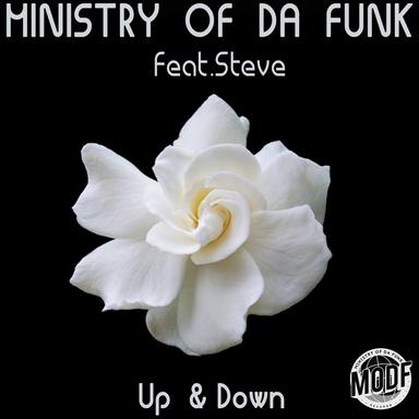 Up & Down