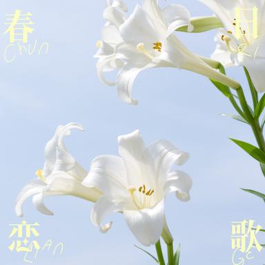 綺羅キラー