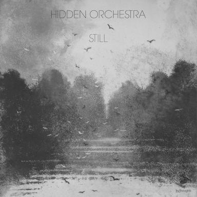 Still - Edit