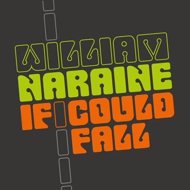 If I Could Fall - Vincenzo Callea Radio Remix